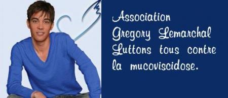 Association Gr�gory Lemarchal...