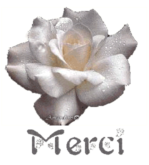 Cette rose pour te dire ...