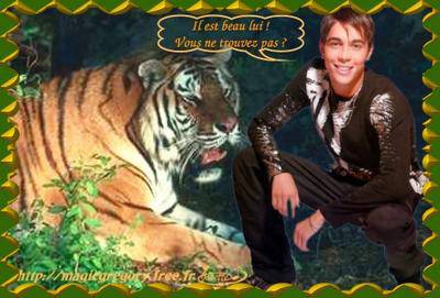 Trop belle cette image...