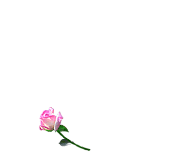 Gr�gory tu es dans mon coeur...