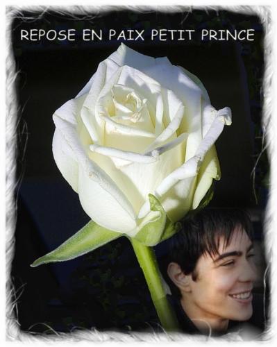 Repose en paix mon Ange...